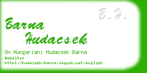 barna hudacsek business card